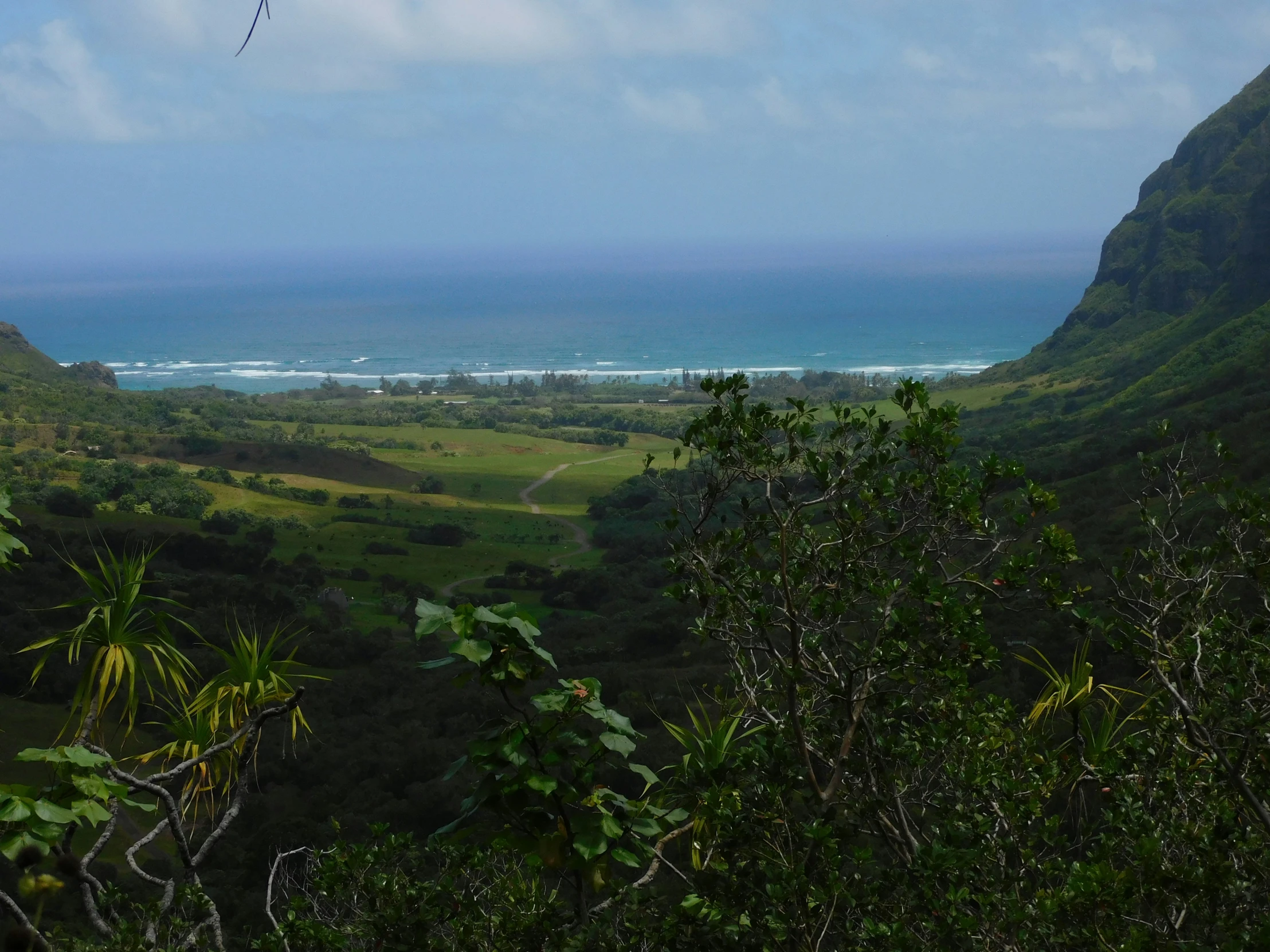 view of ocean from hilltop overlooking forested landscape