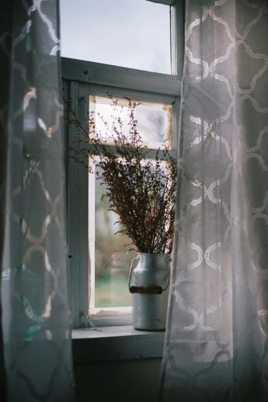 a vase with some brown weeds sitting on a window sill