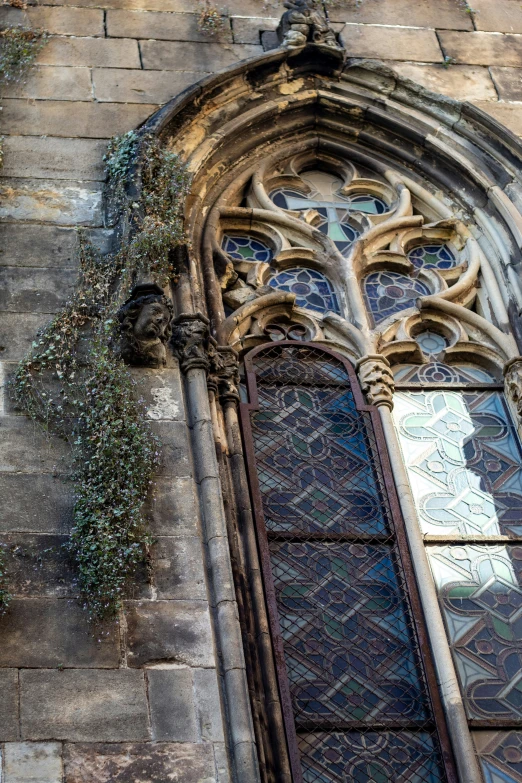 there is a window and a plant on the wall