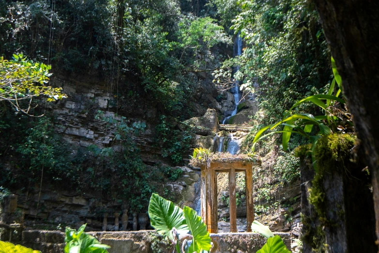 a garden with a waterfall and plants in the background