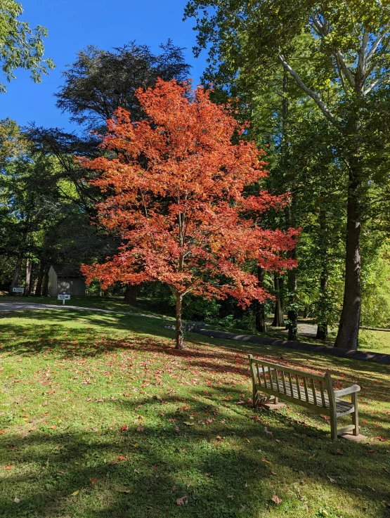 two wooden benches are near a park bench