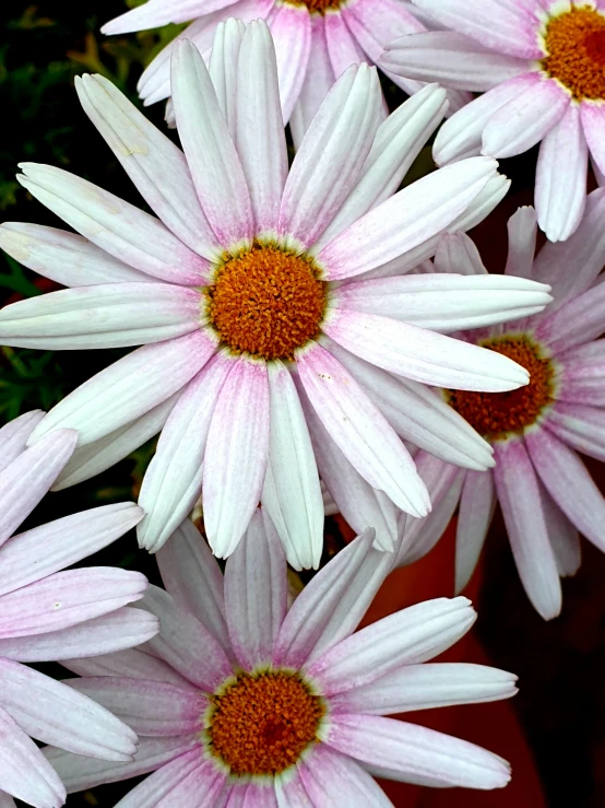 a vase that has a bunch of pink flowers in it