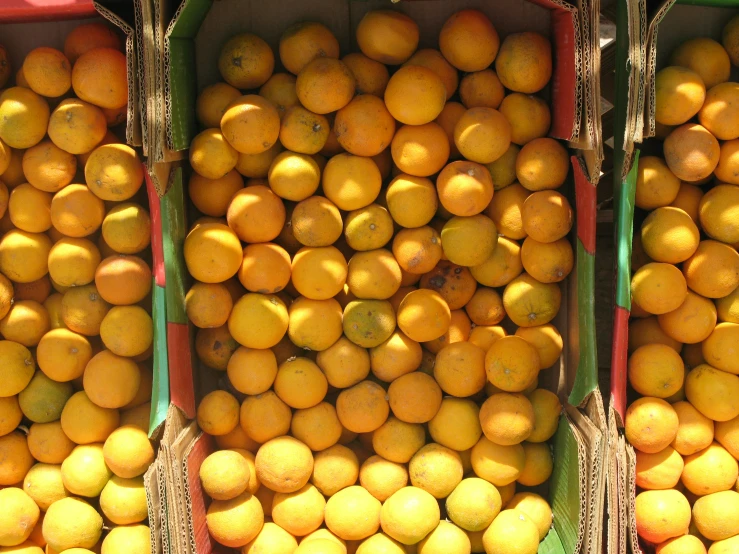 oranges and other fruit in baskets for sale