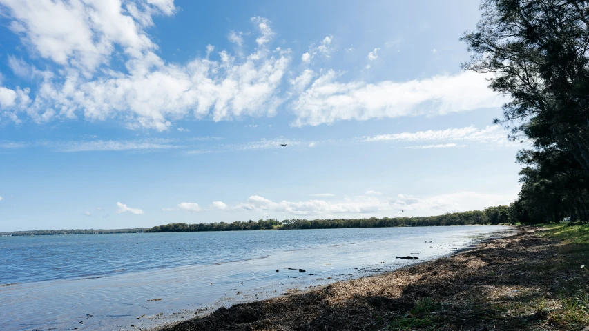 a small shore near a beach and lake