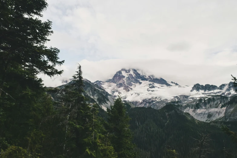 a view of a mountain in the middle of a forest