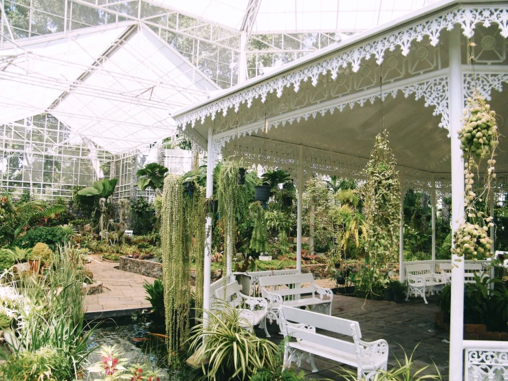 this is a garden in a greenhouse with water and lots of plants