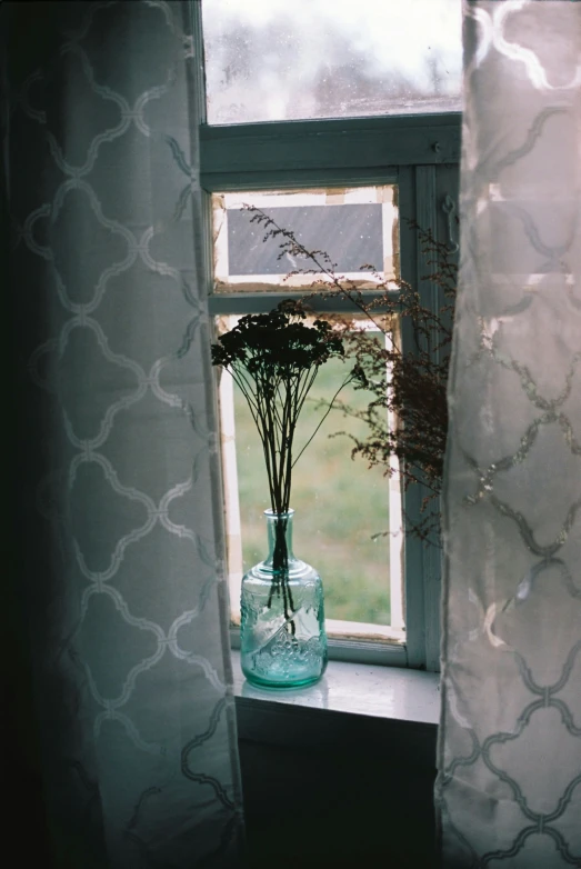 a vase with flowers on the ledge of a window