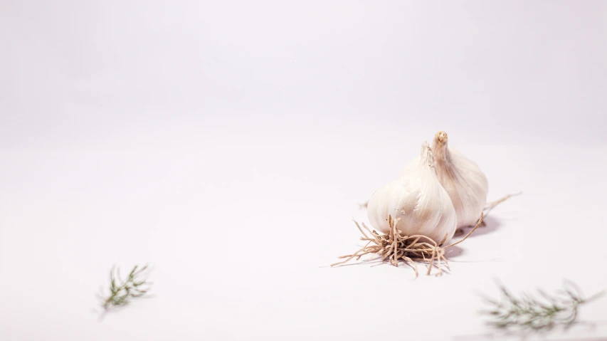 a close up of a white garlic and some twigs