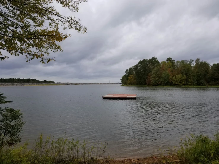 a lone lake dock in the middle of a forest