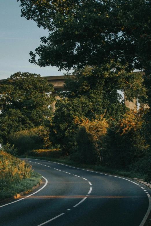 a winding street with trees along side of it