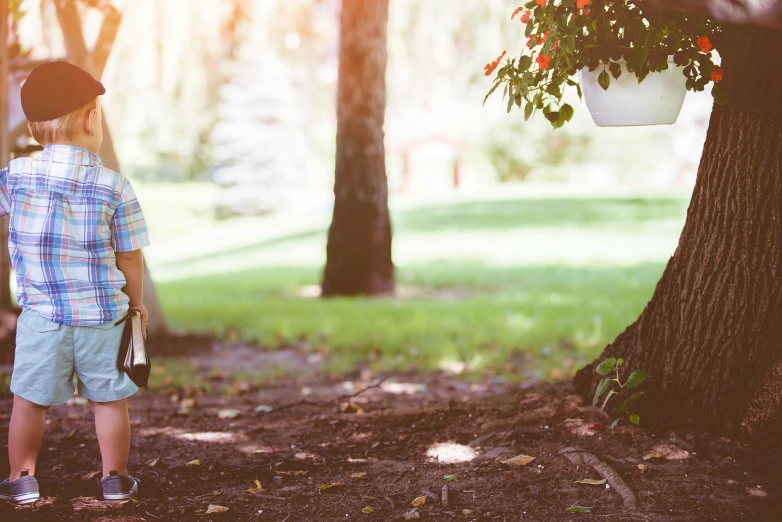 a boy in the park by a tree with an apple hanging