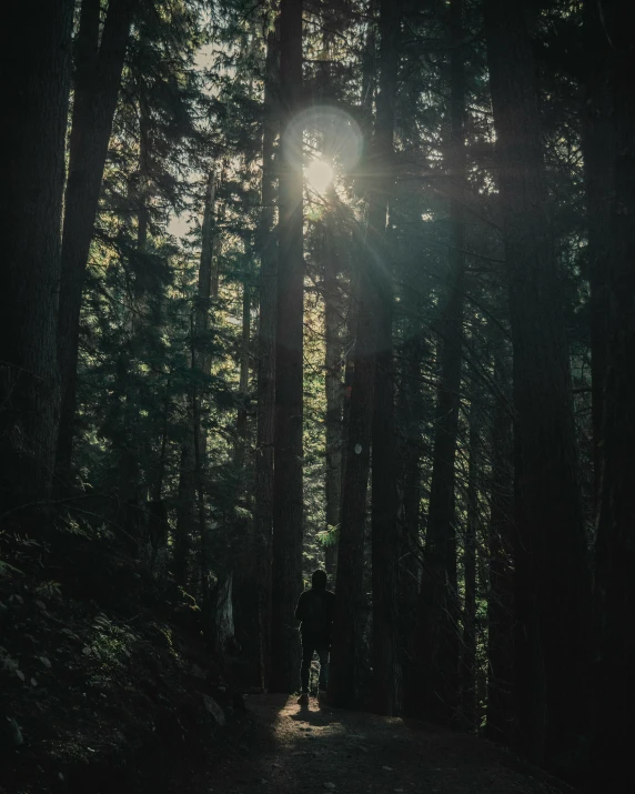 a person stands at the end of a wooded path in the middle of a dark forest