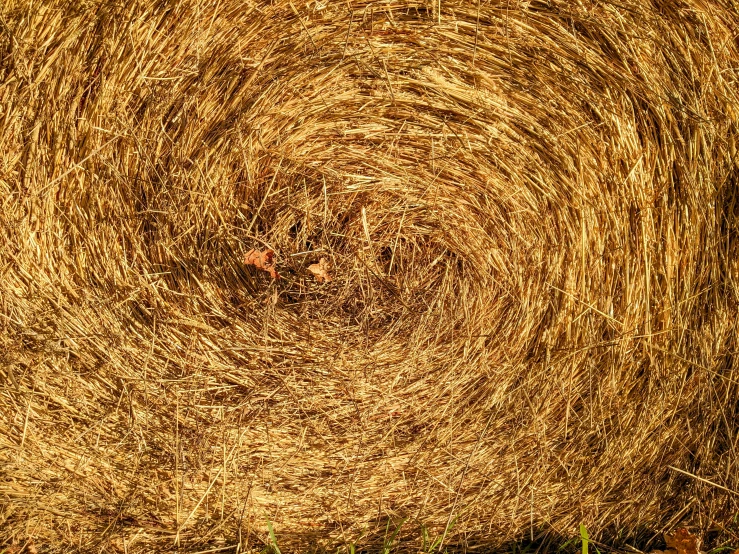 a straw ball in a field with a brown background