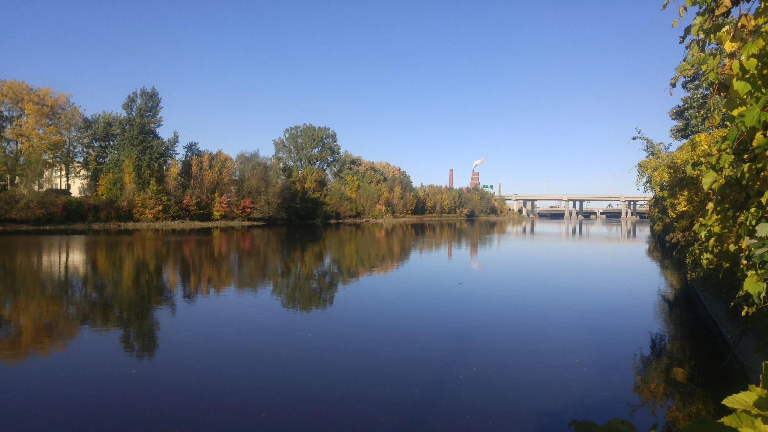 a river with trees and a bridge in the background