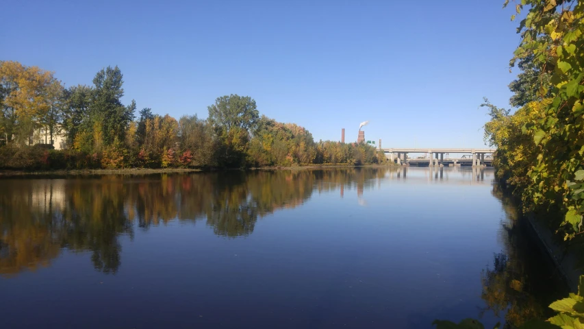 a river with trees and a bridge in the background