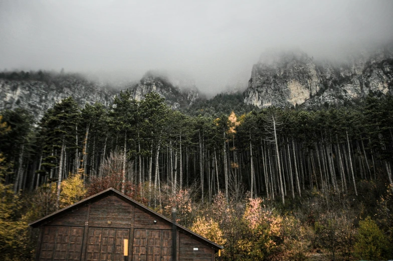 mountains covered in trees in the background and some mist coming from them