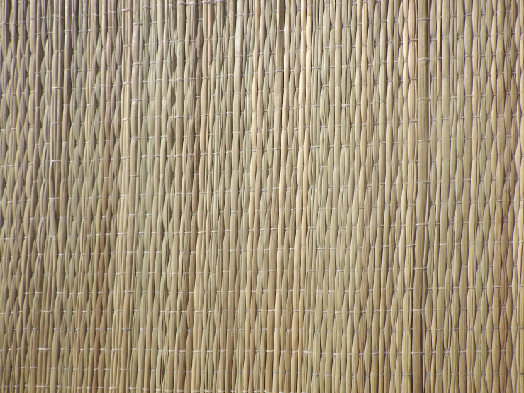 a bamboo wall has many thin lines