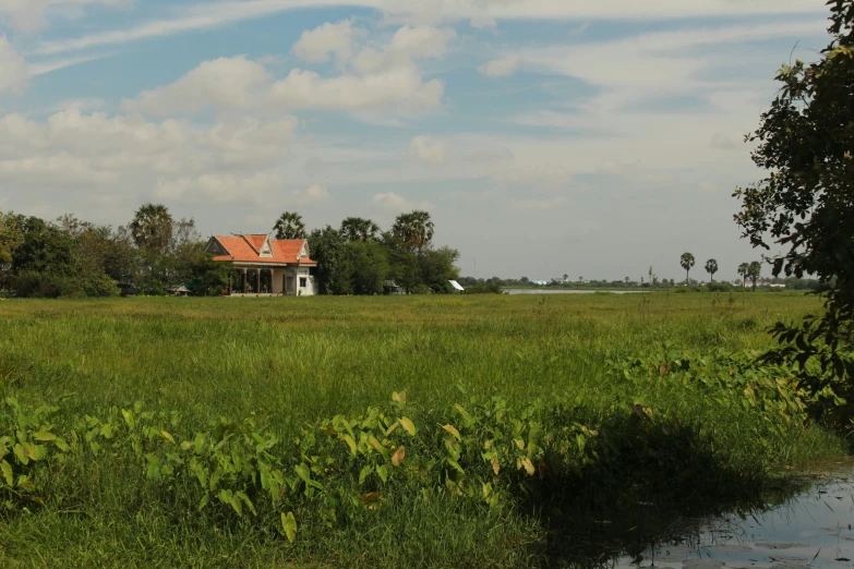 a house is seen in the distance in a green field