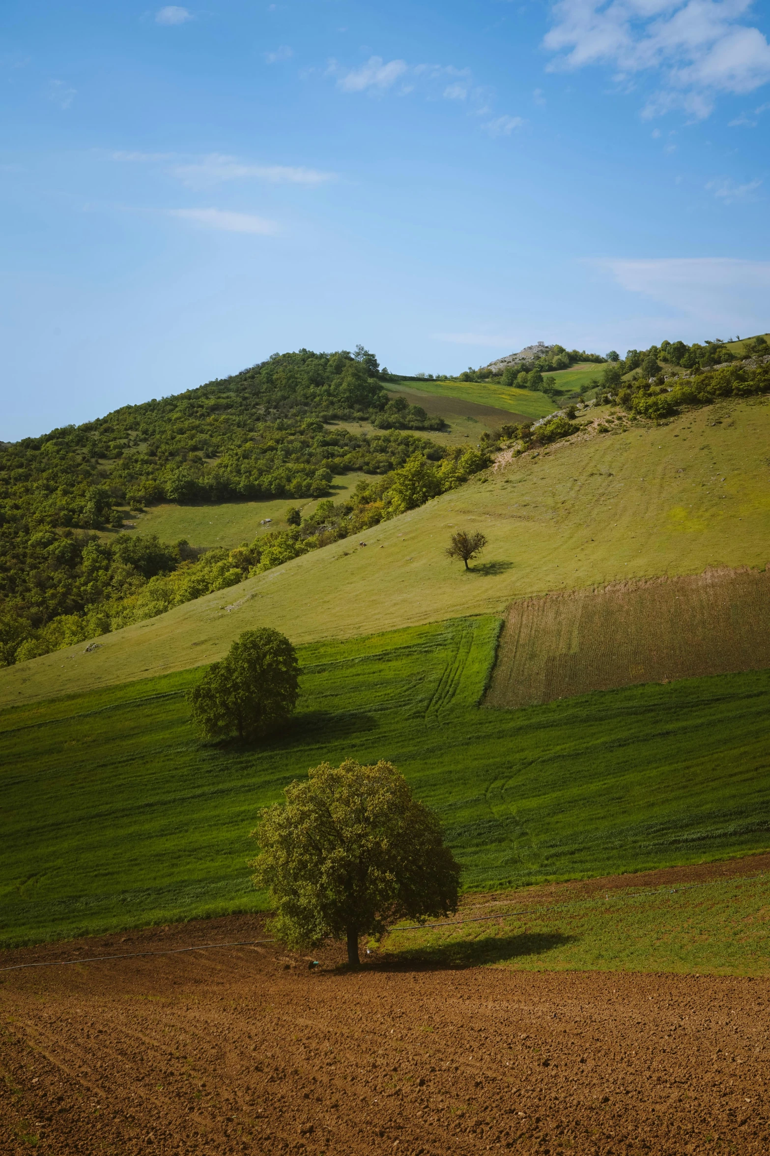 the view of a green hillside is stunning