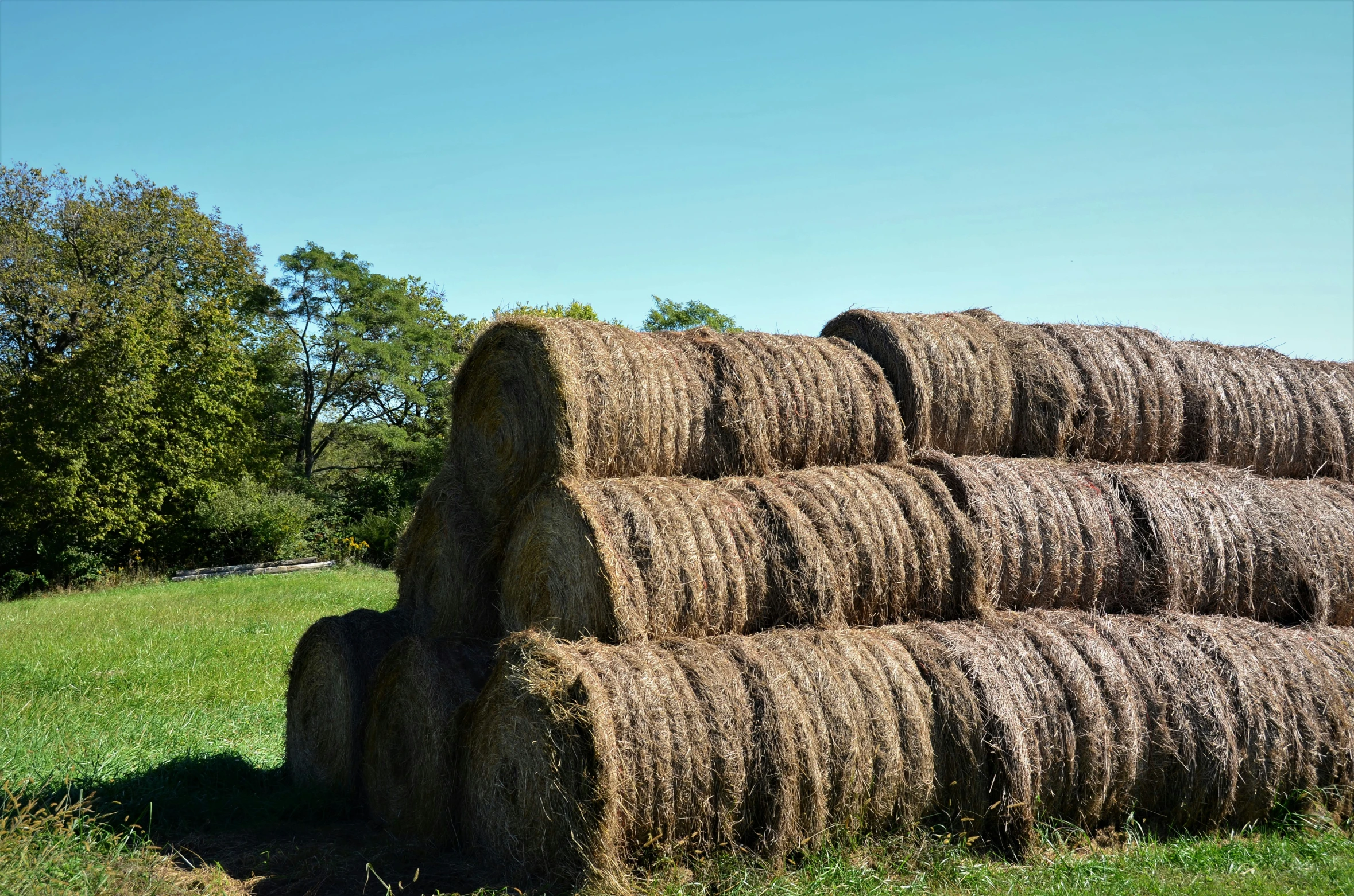 several stacks of hay bales on a farm field