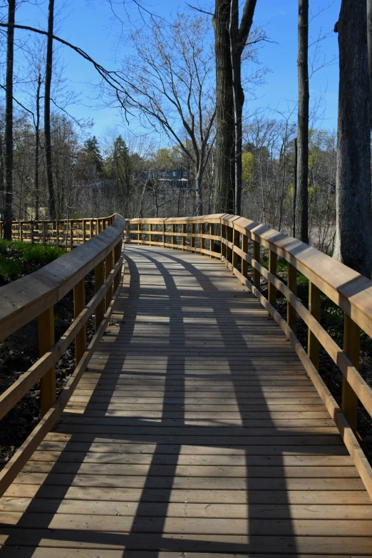 a boardwalk has many different types of wood in it