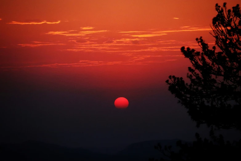 a very colorful sunset seen through trees