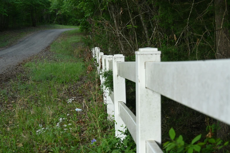 a road runs through some woods next to a fence