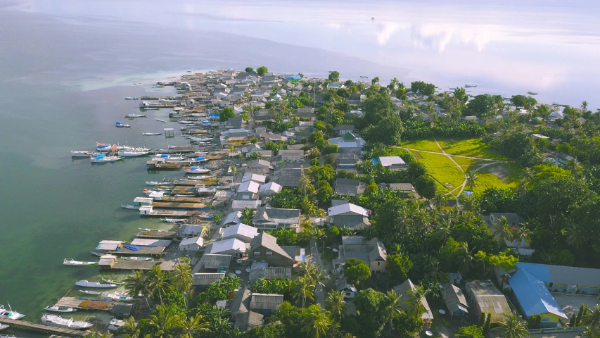 a village on the shore line and many boats