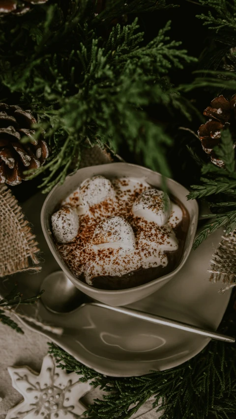 a bowl filled with whipped cream and powder on a saucer