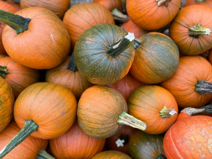 orange pumpkins are stacked neatly together in this image