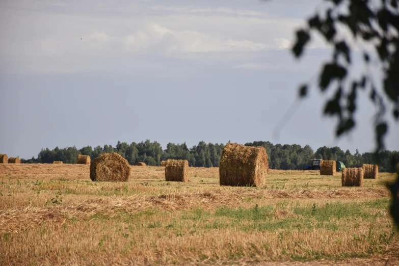 a field with hay bales in it that are sitting near a field