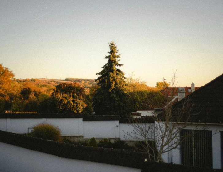 this po shows a rooftop with trees in the background