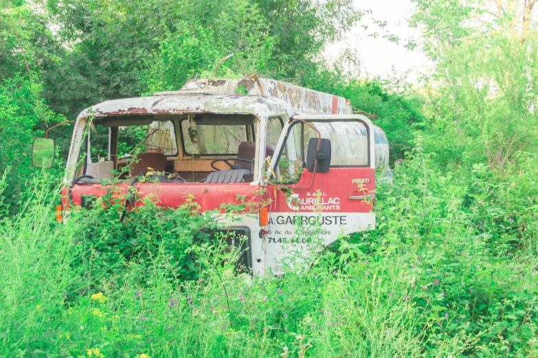 a rusty red and white bus in overgrown grassy area