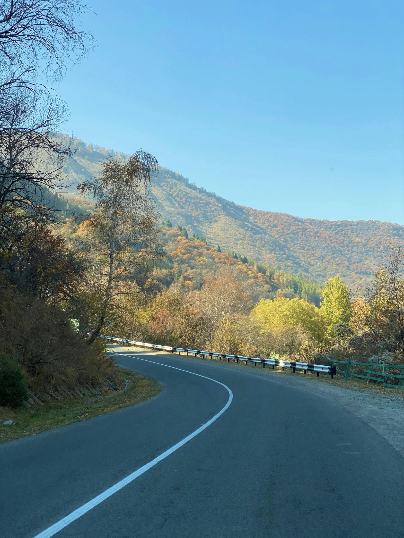 the highway is winding into the distance in a wooded area