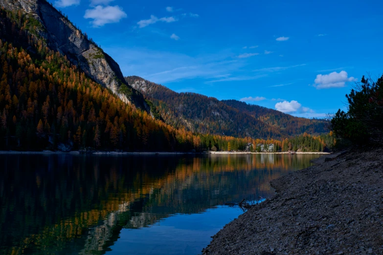 a body of water near a forest filled with trees