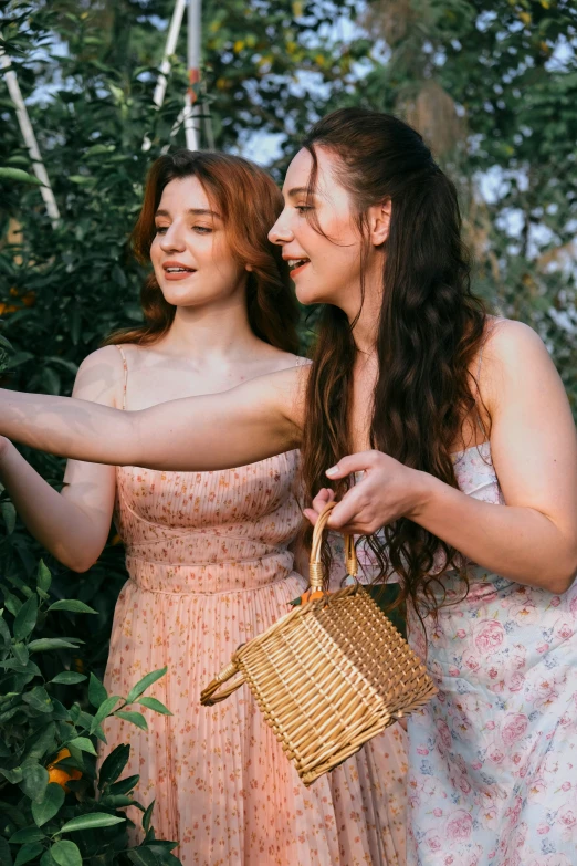 two women looking at some oranges in the trees