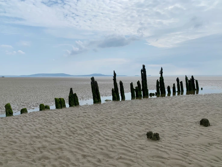 a beach area with lots of poles sticking out of the sand