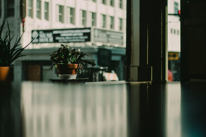 a window sill with a potted plant and buildings in the background