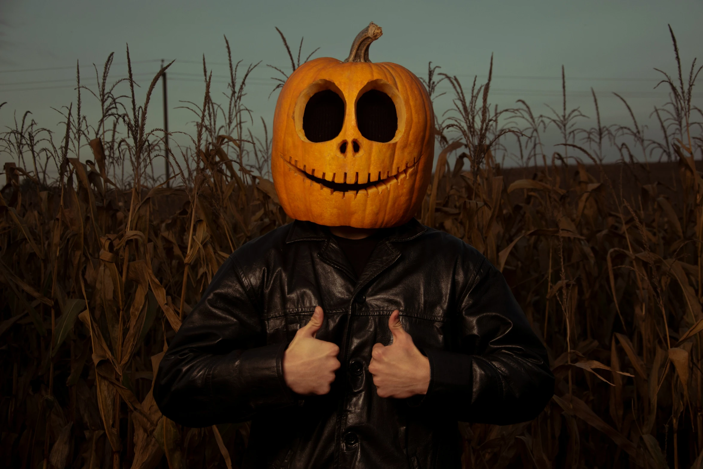 a  standing in a field with a pumpkin head on