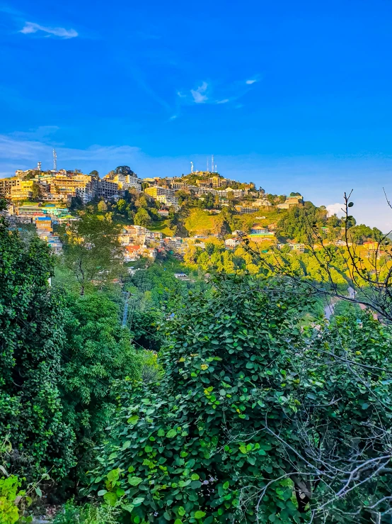 a city in the middle of the forest