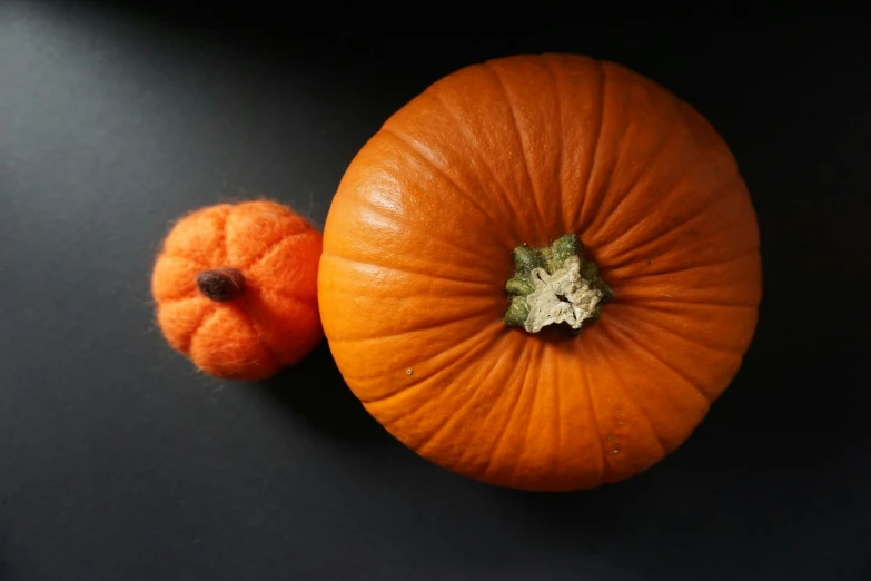 two pieces of pumpkin sit in the shape of a dog