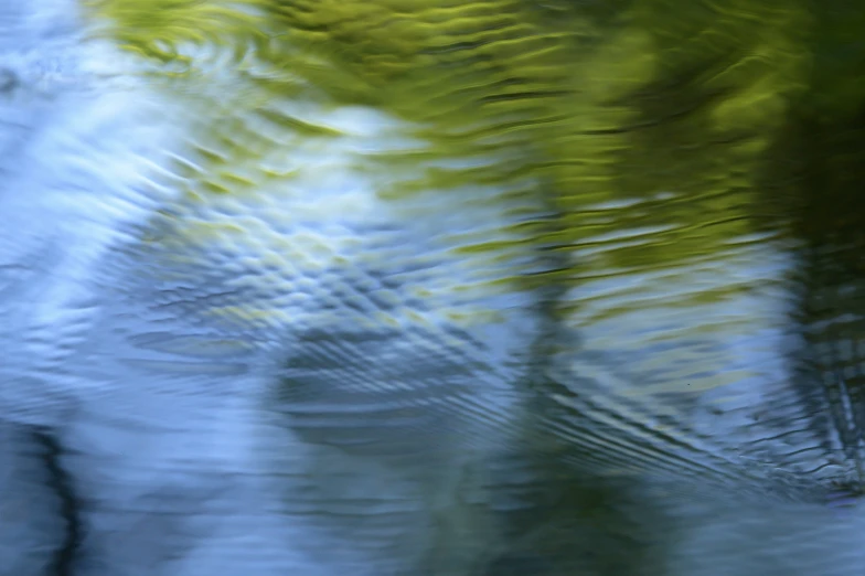 some trees reflecting in a body of water