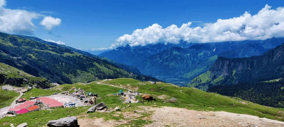 several people on a grassy slope in the mountains