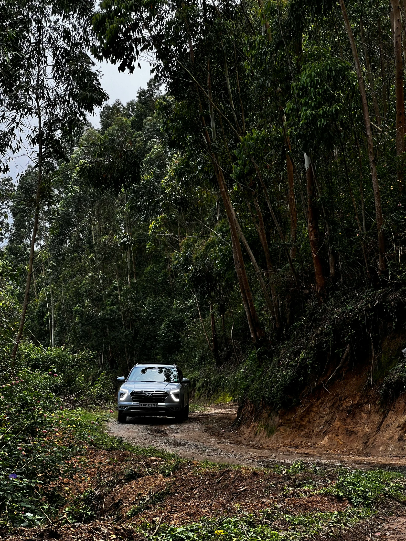 an old style car going through the woods