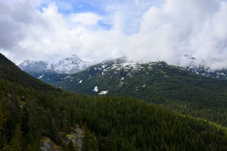 a lush green mountain range covered in snow