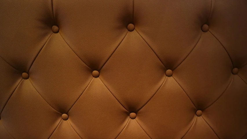 closeup of leather with ons for the back