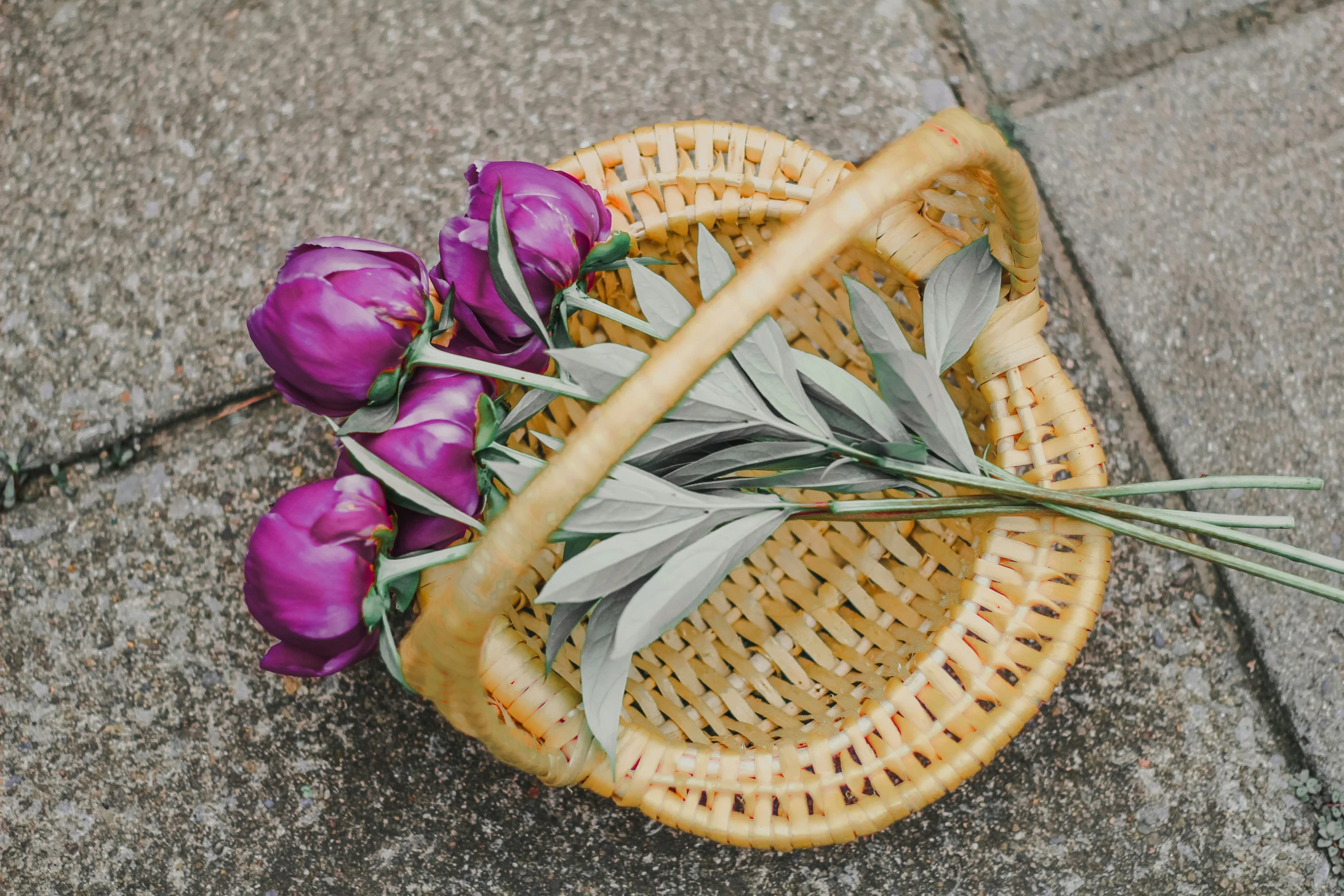 purple flowers are on the sidewalk, placed in a wicker basket
