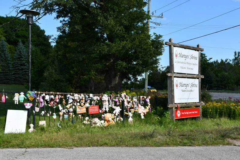 several signs in front of a grass covered field and a telephone pole