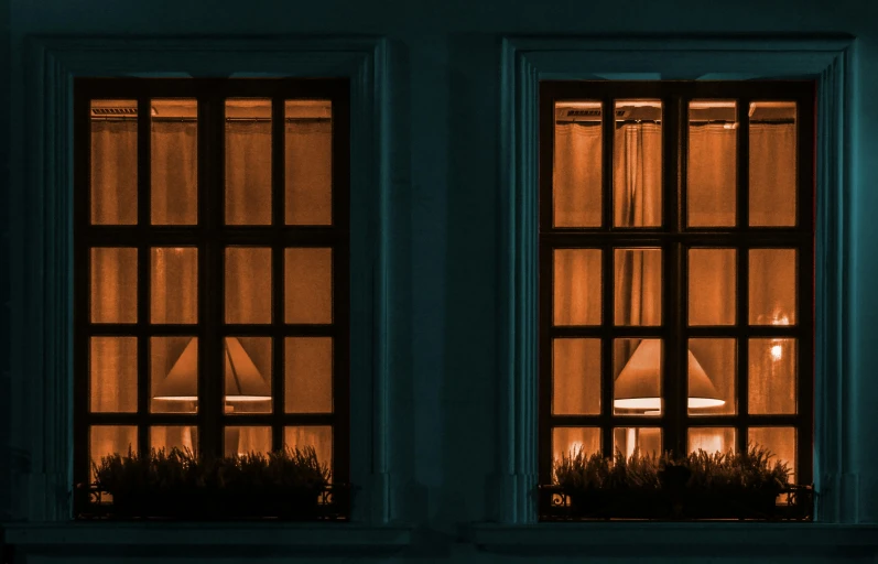 two windows, one with a lamp and the other has plants in it