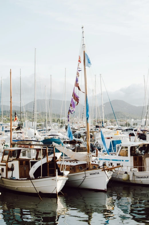 several white boats docked together in the harbor